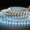 60 LEDS/ COOL BRIGHT WHITE RIBBON WITH A SILICONE